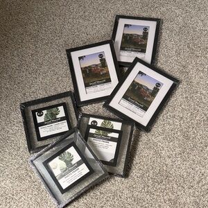 Set of 6 brand new sealed frames